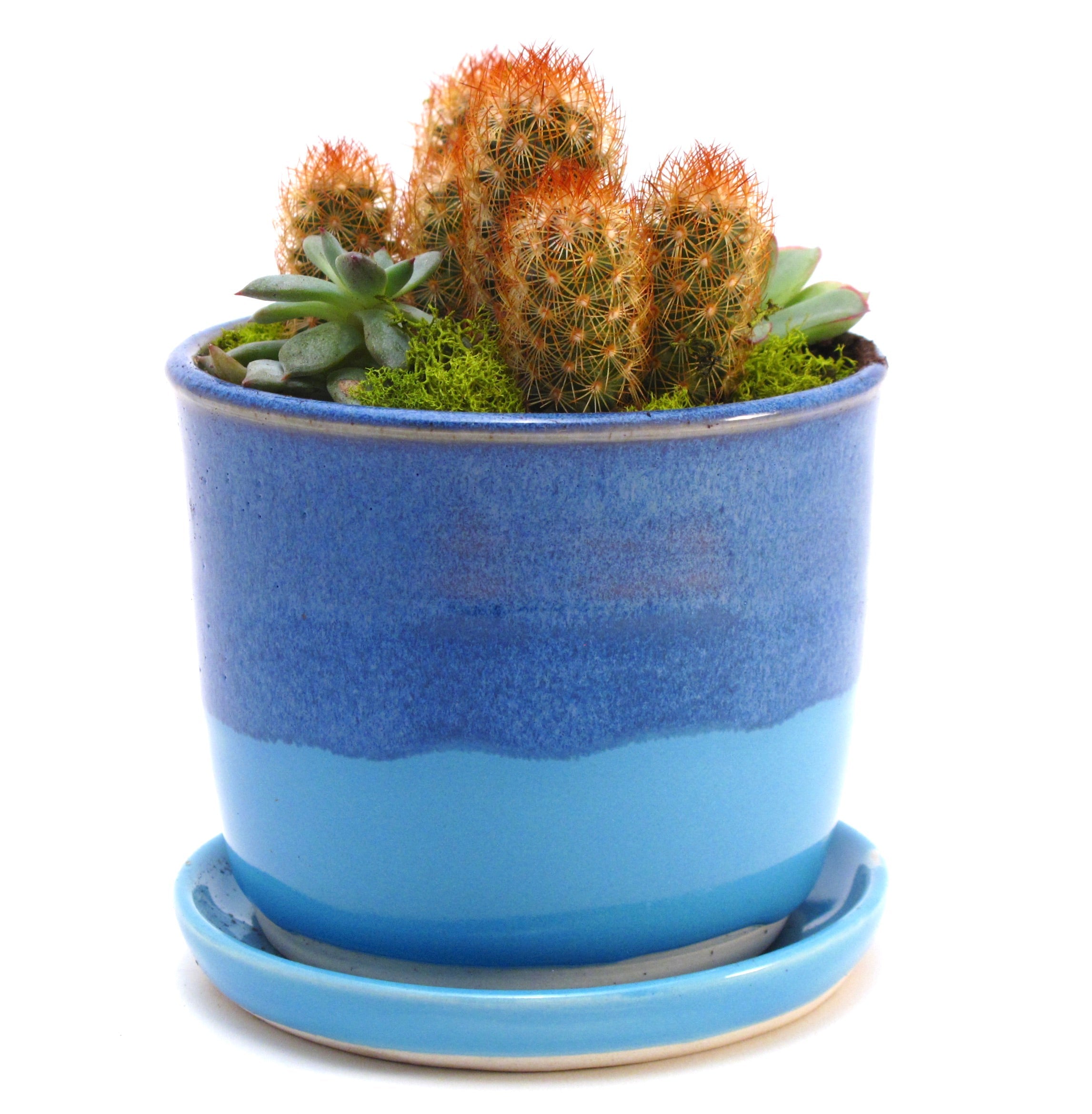 plant pots & garden
