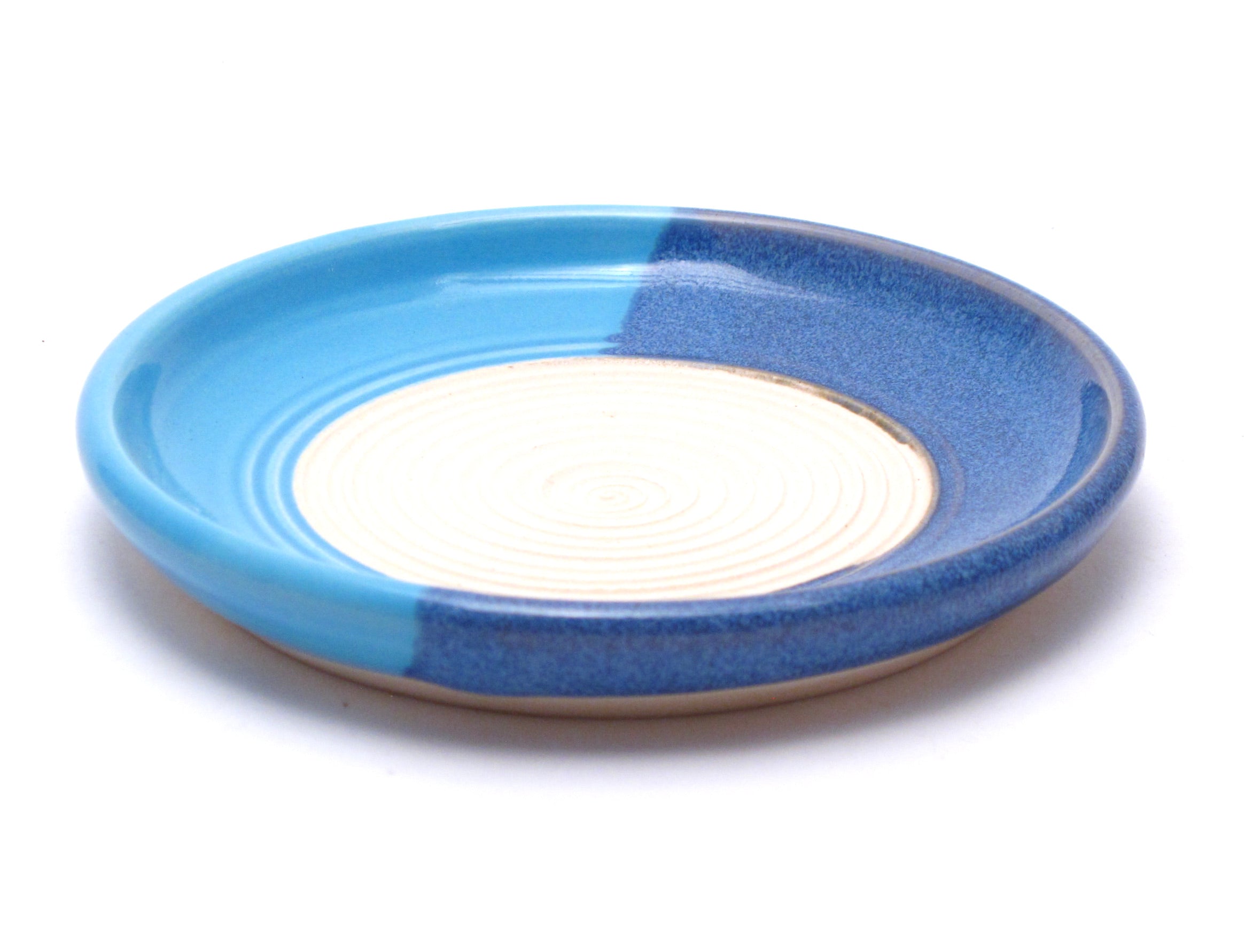 Blue and Aqua Garlic Grater