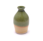 Green and Yellow Bud Vase