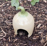 Yellow Squash Toad House