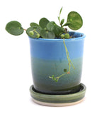 Raspberry and Stone Starter Plant Pot 3.5"h x 3.25"w