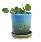 Blue and Green Starter Plant Pot 3.5"h x 3.25"w