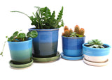 Blue and Green Small 2.5"h x 4"w Plant Pot