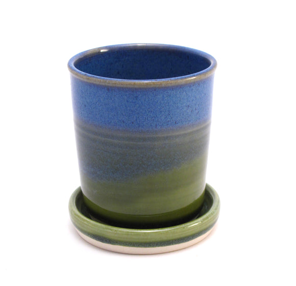 Blue and Green Starter Plant Pot 3.5